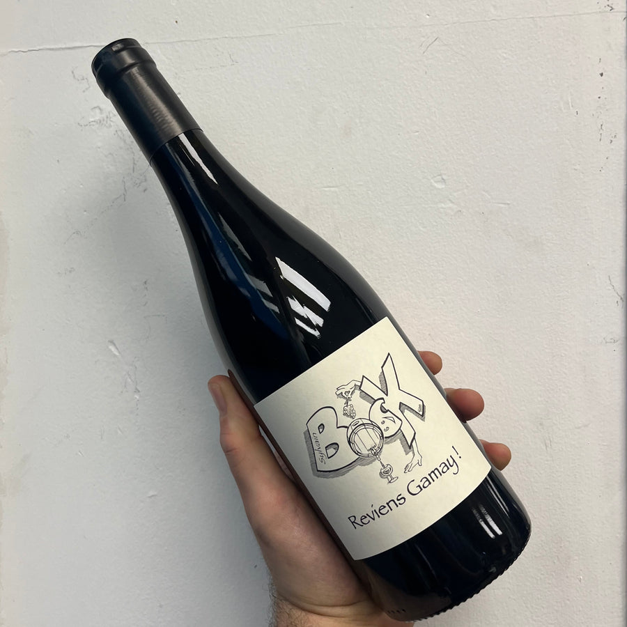 Sylvain Bock, Reviens Gamay (2023)