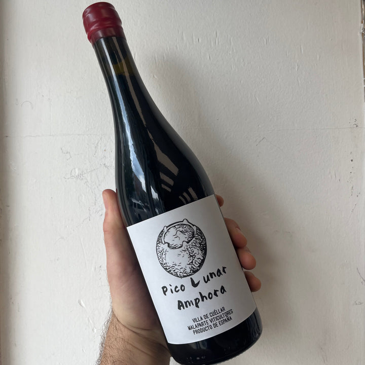 Vinos Malaparte, Pico Lunar Amphora (2020)