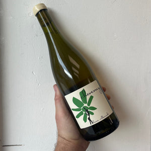 Herve Villemade, Cheverny Blanc (2023)