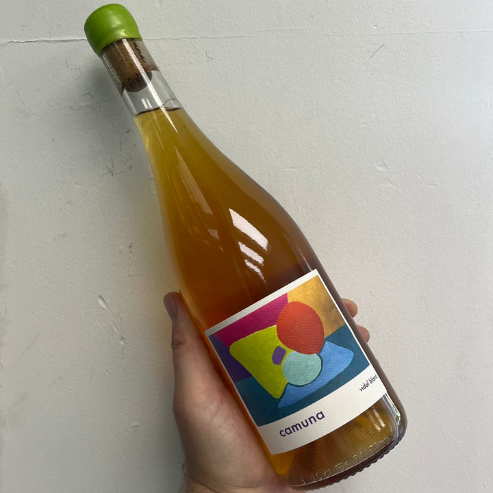 Camuna Cellars, Vidal Blanc (2024)