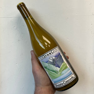 Iruai, Shasta Cascade White (2024)