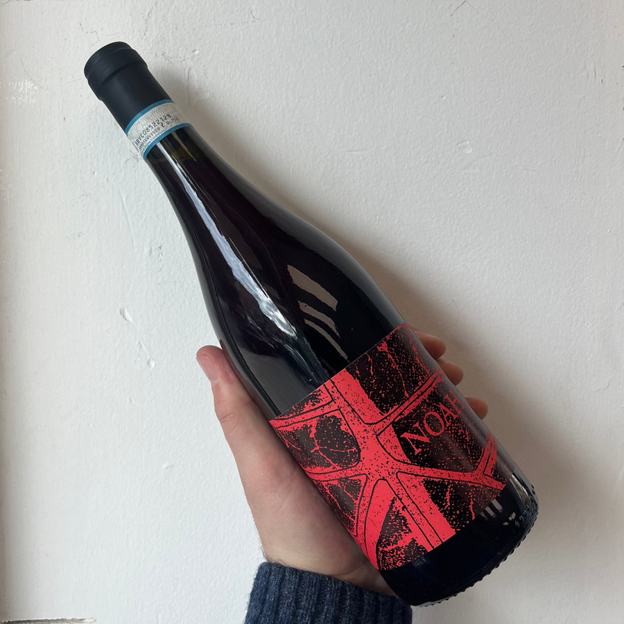 Noah, ‘RossoNoah’ Coste della Sesia Rosso (2024)