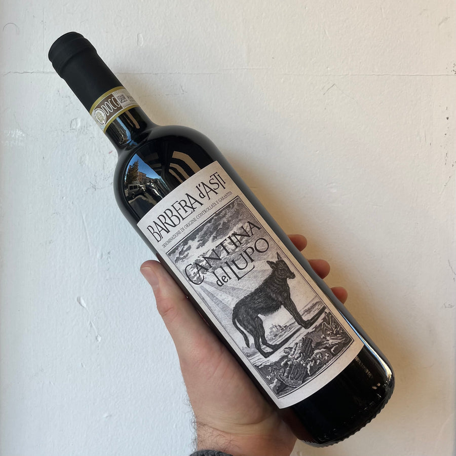 Cantina del Lupo, Barbera d’Asti (2023)