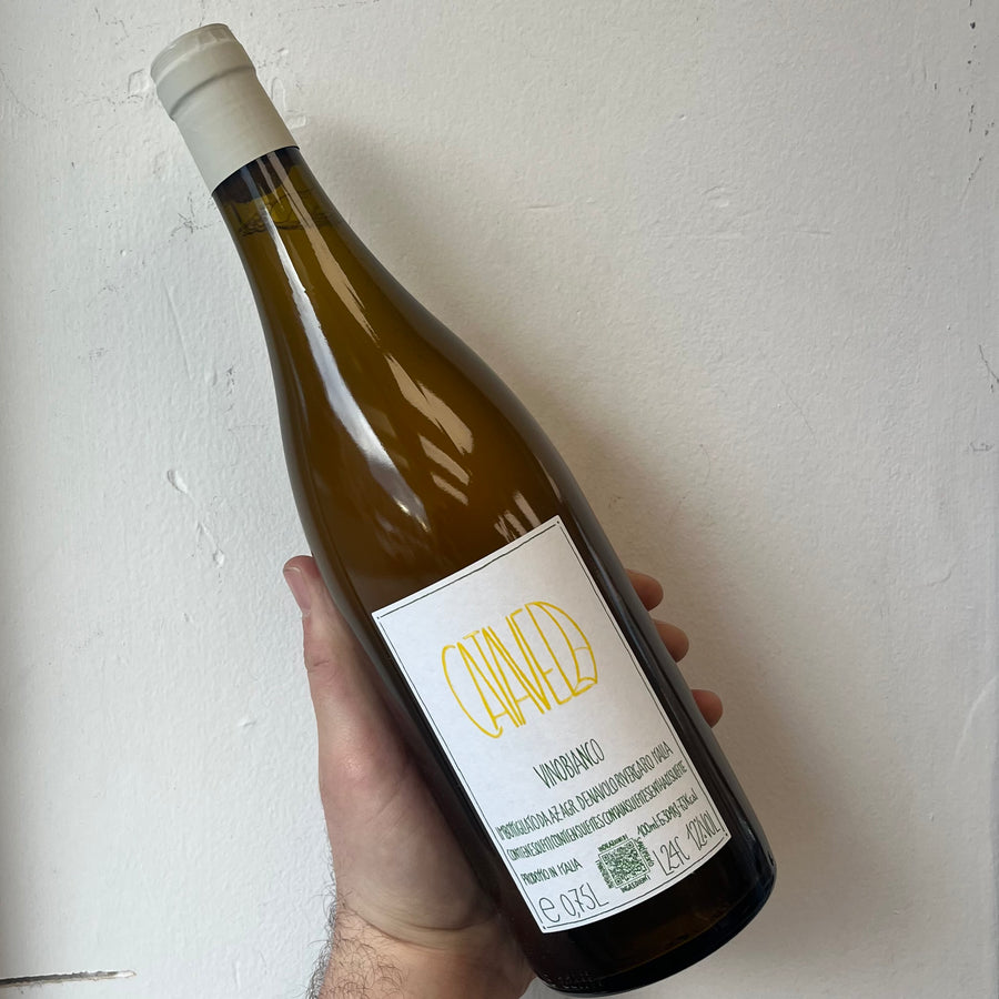 Azienda Agricola Denavolo, Catavela (2024)