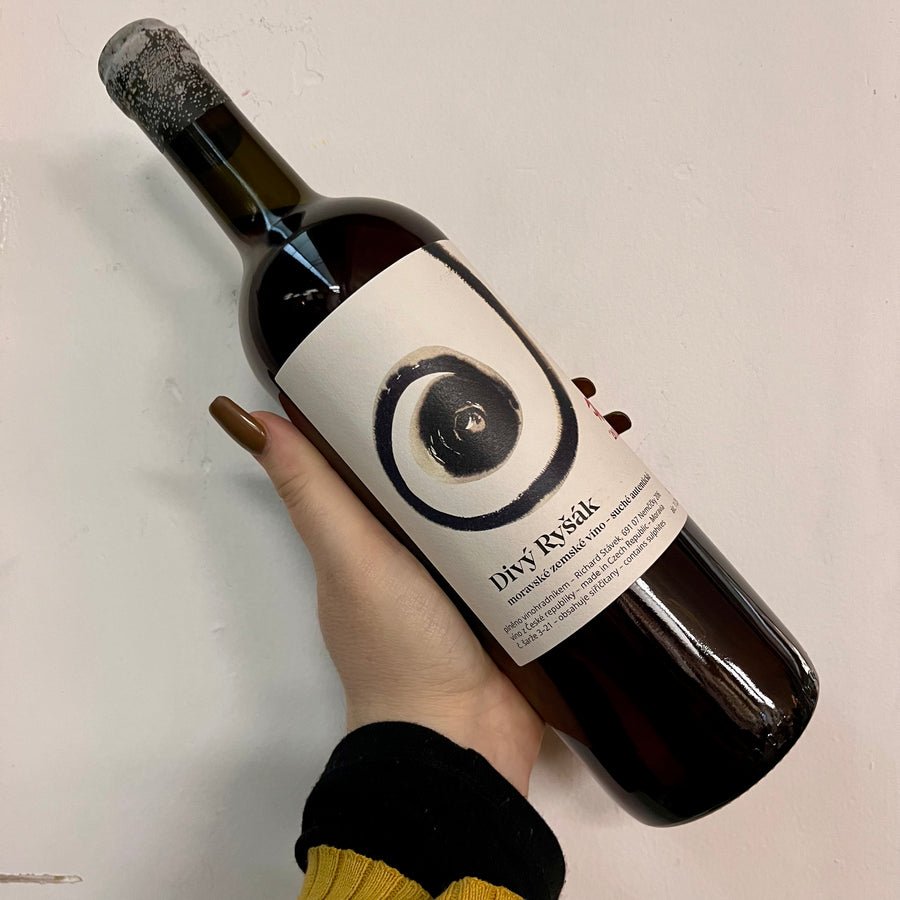 Richard Stavek, Divý Ryšák (2021)